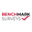 Benchmark Surveys